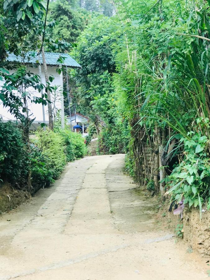 The Hobbit Cottage-埃拉 外观 照片